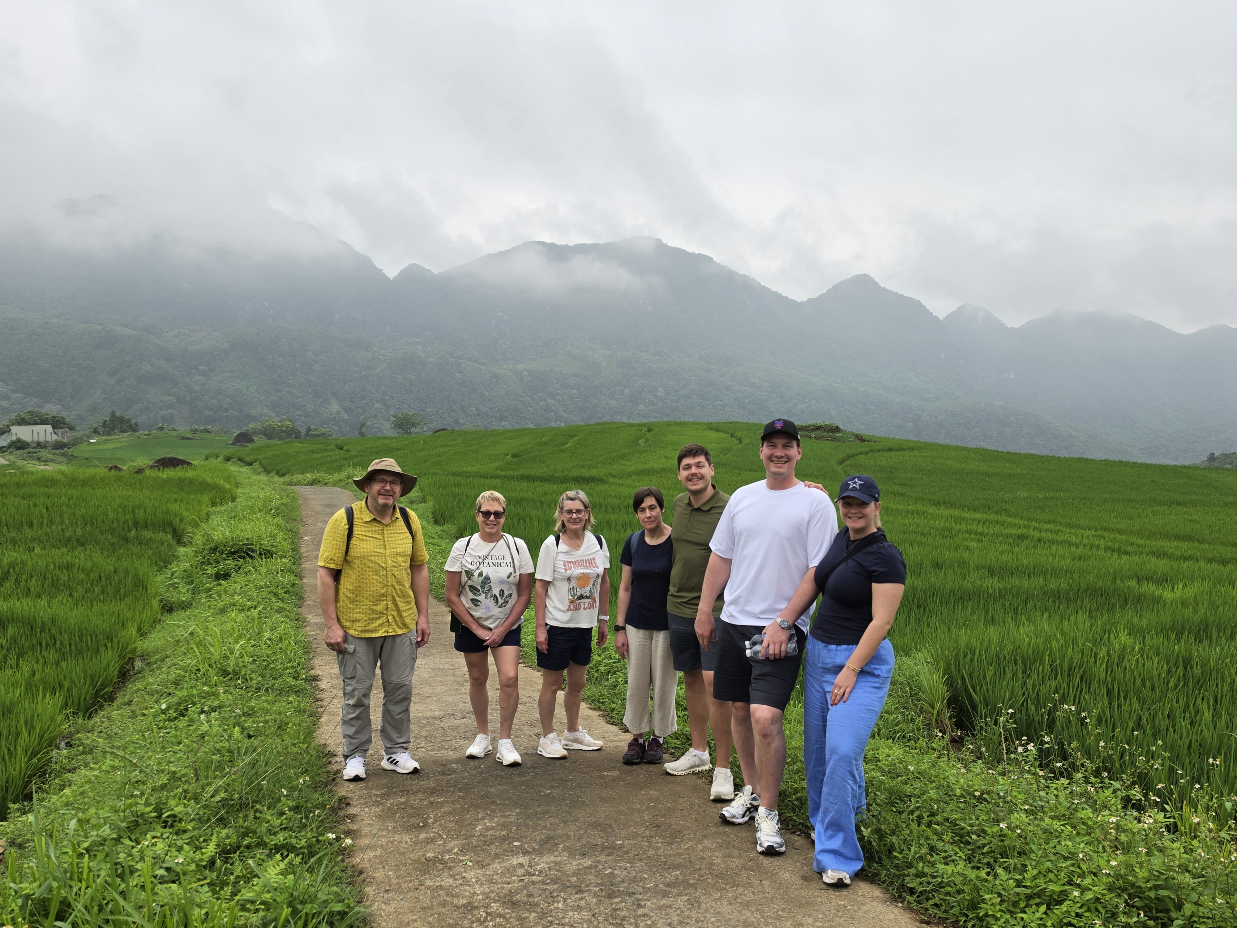 Green rice valley