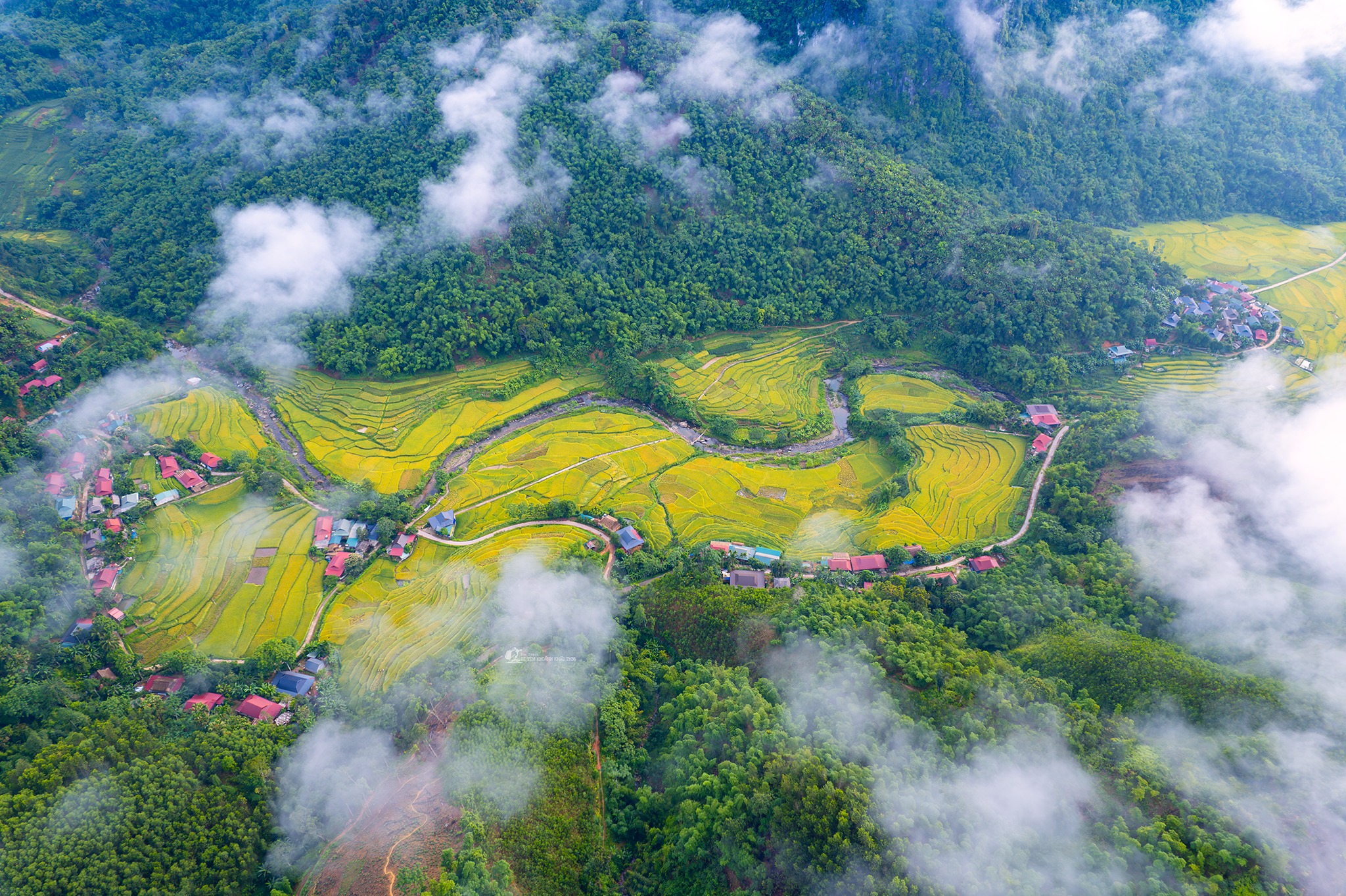 Terraced rice fields in Pu Luong